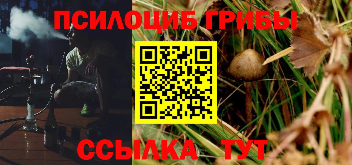 Псилоцибиновые грибы Magic Shrooms Екатеринбург